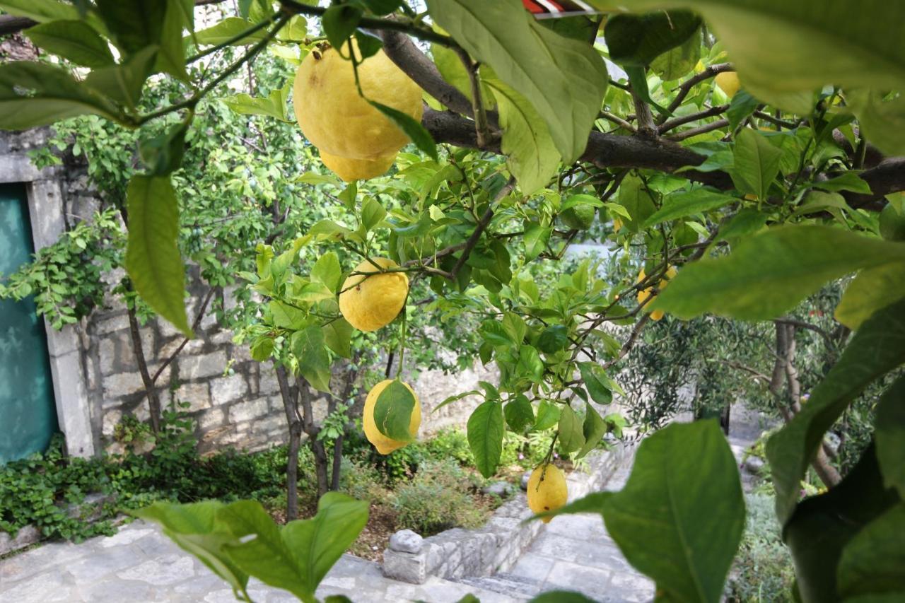Apartments By The Sea Orebic, Peljesac - 4496 Εξωτερικό φωτογραφία